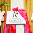 中国传统村落保护与发展研究中心