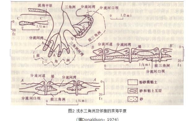 三角洲沉积体系结构 三角洲沉积体系结构