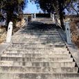 三阳观(山东泰山三阳观)