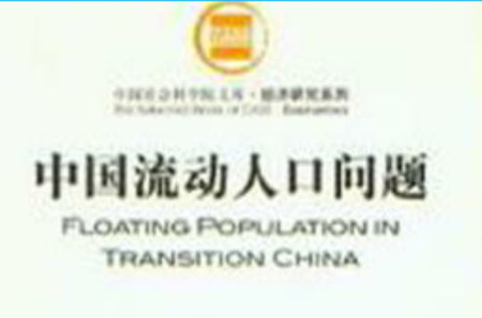 中国流动人口问题
