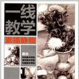一线教学：素描静物