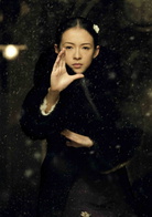 一代宗师(2013年王家卫执导电影)