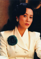 一江春水向东流(2005年陈道明主演电视剧)