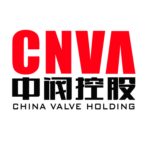中阀控股