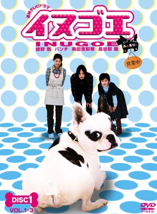 绫野刚