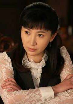 红箭(2014年陈亚洲、张磊执导电视剧)