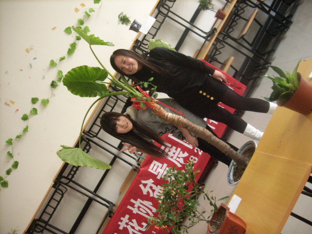 中国信息大学花卉协会 中国信息大学花卉协会