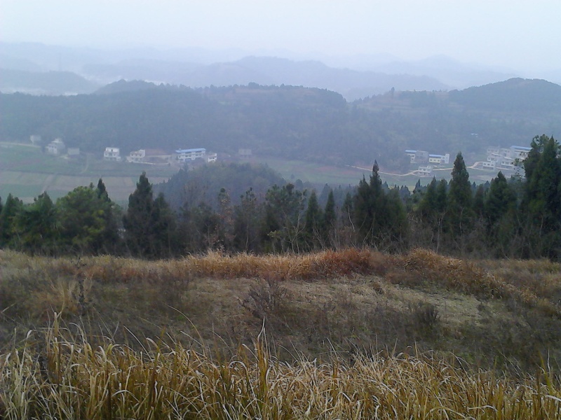 上新乡