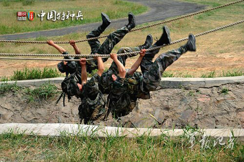 其训练程度很高 其训练程度很高