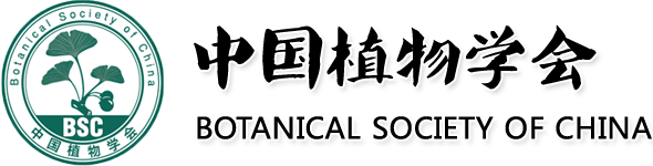 会徽与文字 会徽与文字