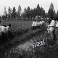 中国古代田制思想