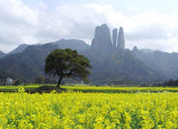 丹霞地貌(江郎山) 丹霞地貌(江郎山)