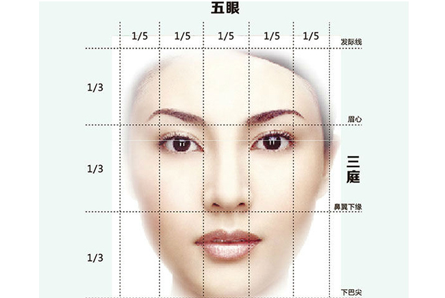三庭五眼