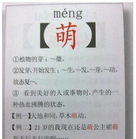 网路名词“萌” 网路名词“萌”