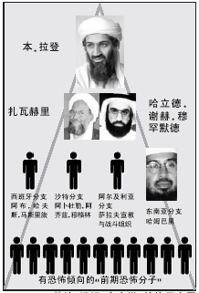 组织结构 组织结构