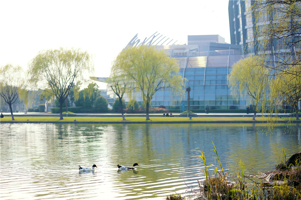 东华大学 东华大学