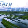 世界湿地日