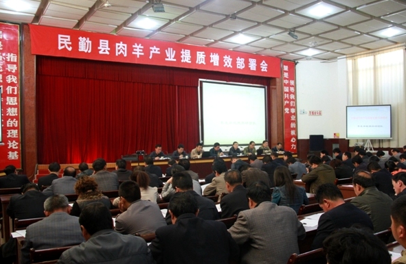 中国肉羊之乡 中国肉羊之乡