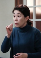 继承者们(2013年李敏镐主演韩国电视剧)