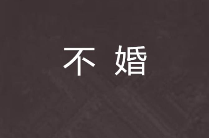 不婚(小说名称)