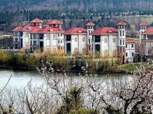 山东省烟台龙口市东江镇南山村 山东省烟台龙口市东江镇南山村