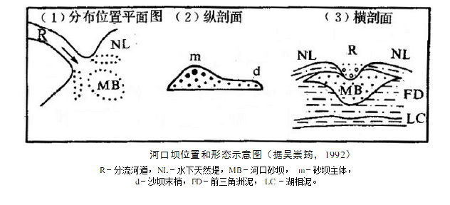 三角洲沉积相 三角洲沉积相