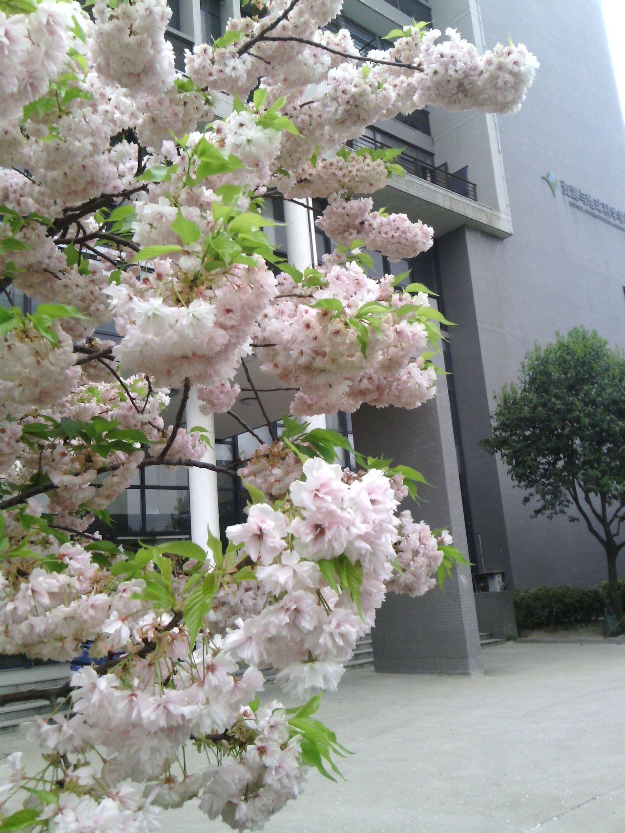 中国矿业大学资源与地球科学学院