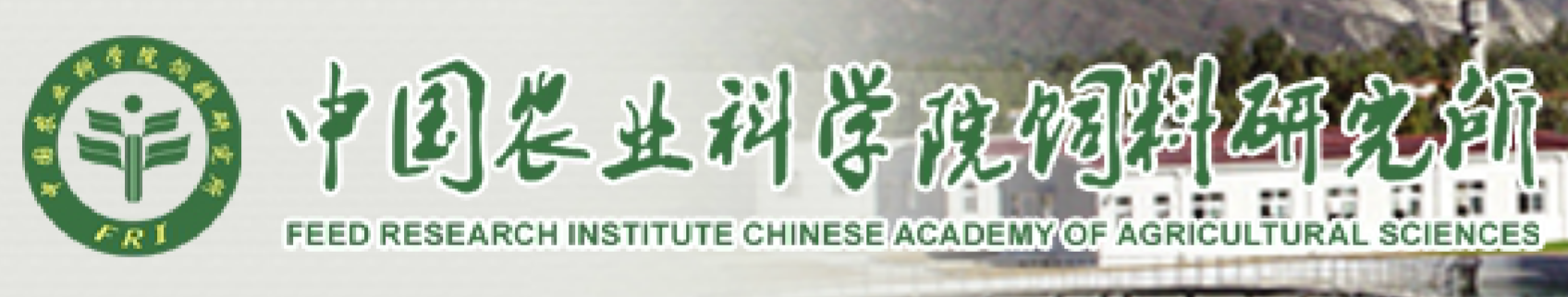 LOGO与文字 LOGO与文字