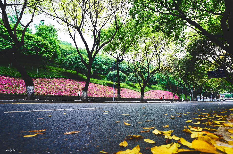 中山四路(重庆中山四路)