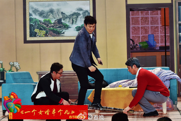一个女婿半个儿(2017年沈腾等在央视春晚表演的小品)