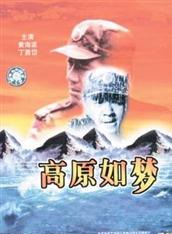 丁勇岱