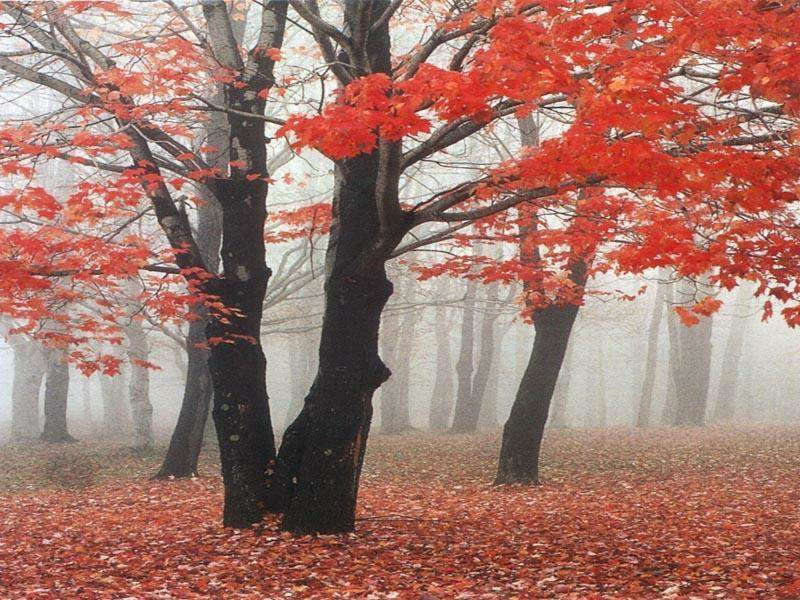 风景美图 风景美图