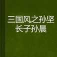 三国风之孙坚长子孙晨