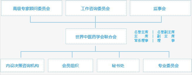 世界中医药学会联合会组织体系示意图 世界中医药学会联合会组织体系示意图