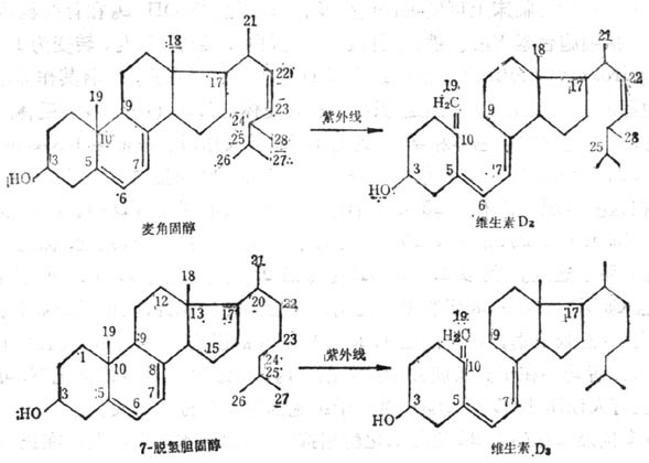 维生素D 维生素D
