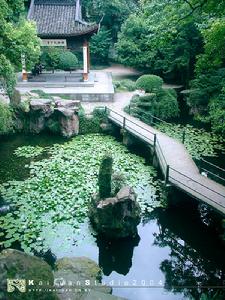 御花园 御花园