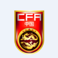 中国国家男子足球队