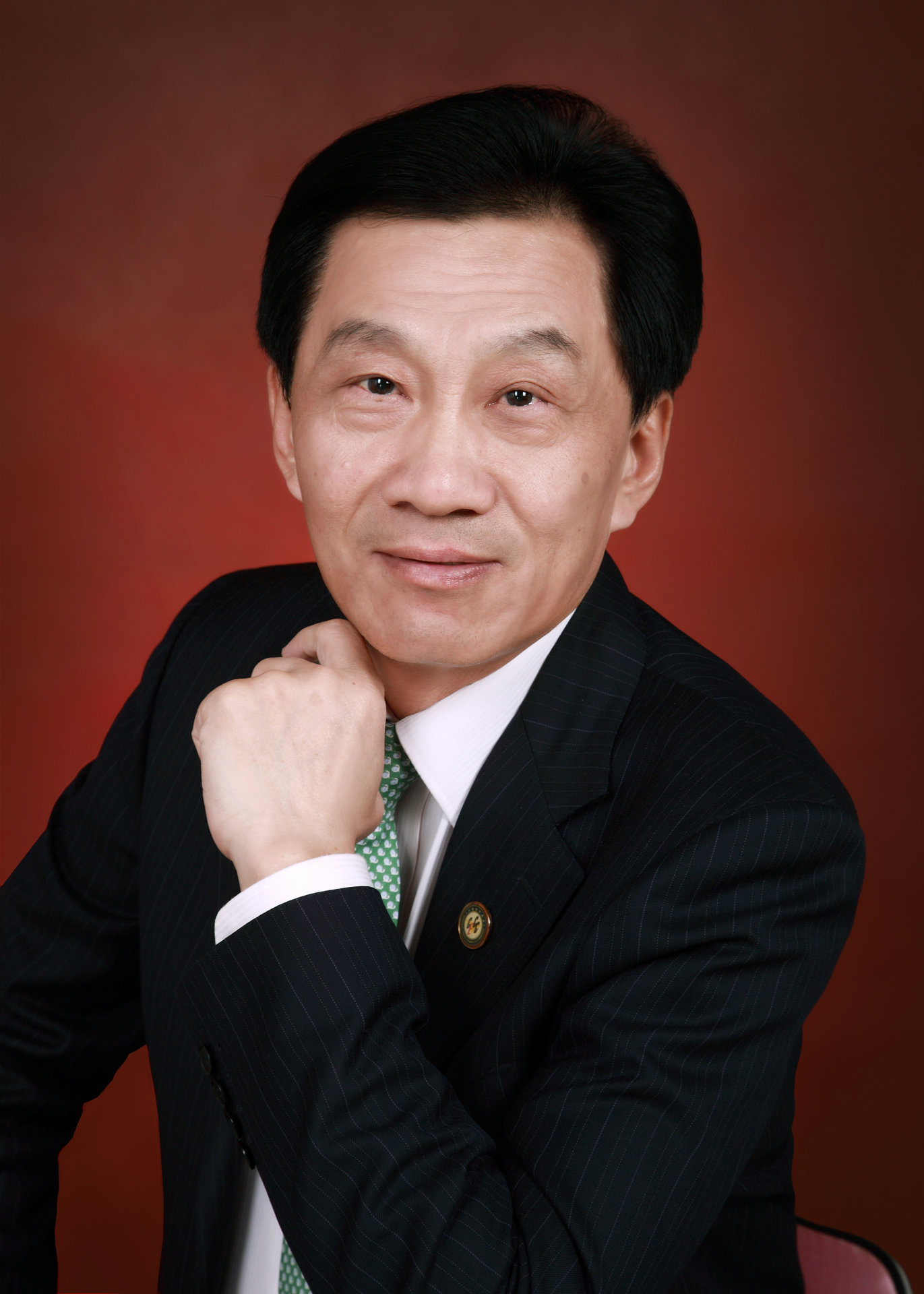中国电子商会 中国电子商会
