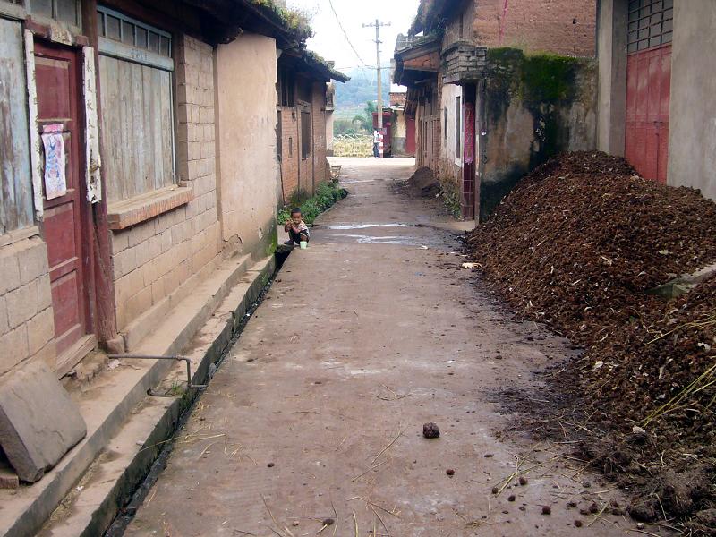 硬化村内路 硬化村内路