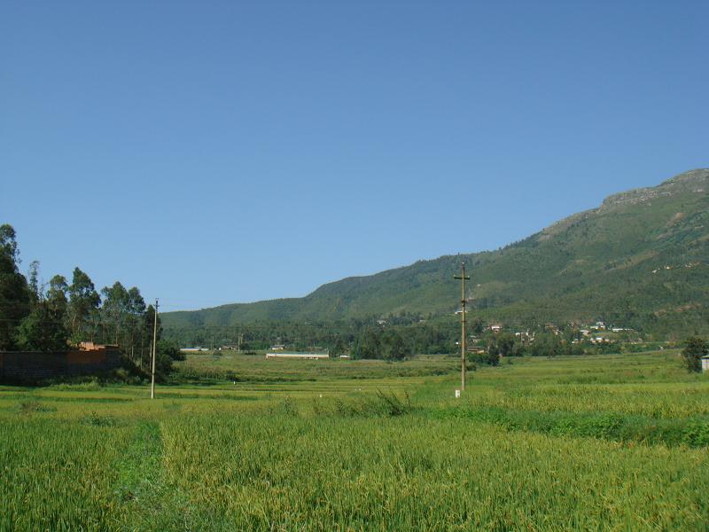 下龙树村 下龙树村