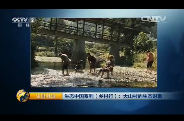 中国富硒第一村 中国富硒第一村