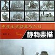 中学生素描技巧入门：静物素描