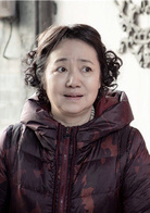 中国式关係(2016年沈严执导电视剧)