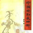 中国空劲气功术