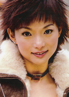 一网情深(2002年陆毅主演电视剧)