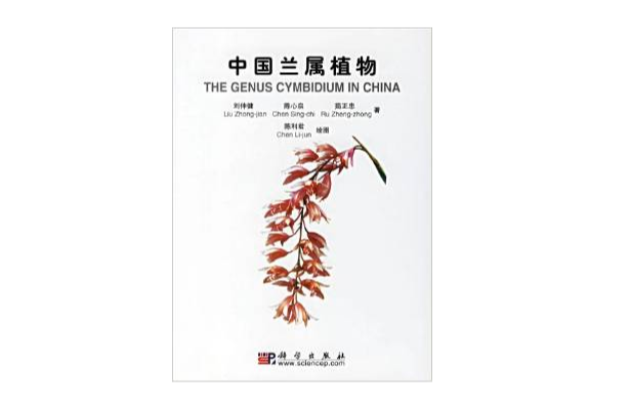 中国兰属植物