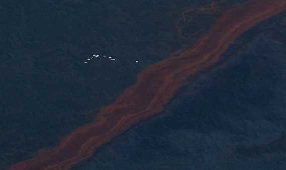 漏油海面 漏油海面