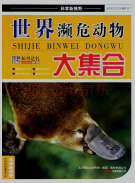世界濒危动物大集合