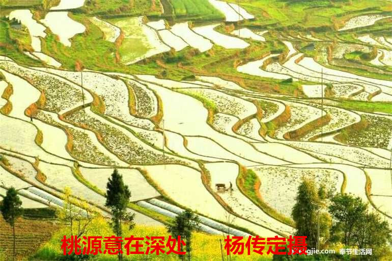上庄村 上庄村