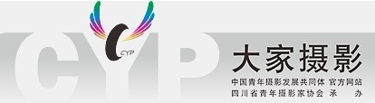 大家摄影 大家摄影